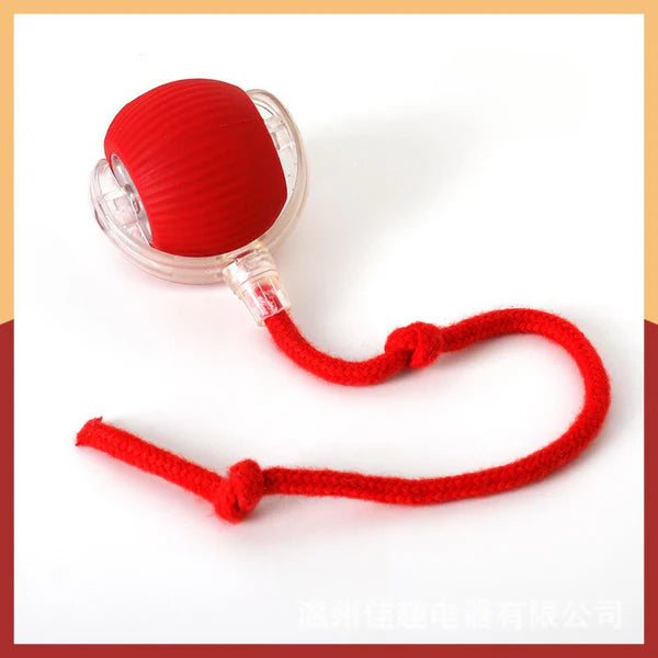 Juego interactivo para gatos